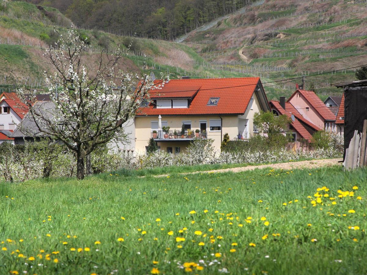 Ferienwohnung Graf Vogtsburg Exterior foto